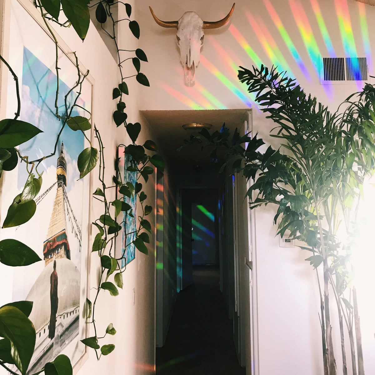 Happy Whatever - Rainbowmaker - Fenstersticker/Karte - Sunshine