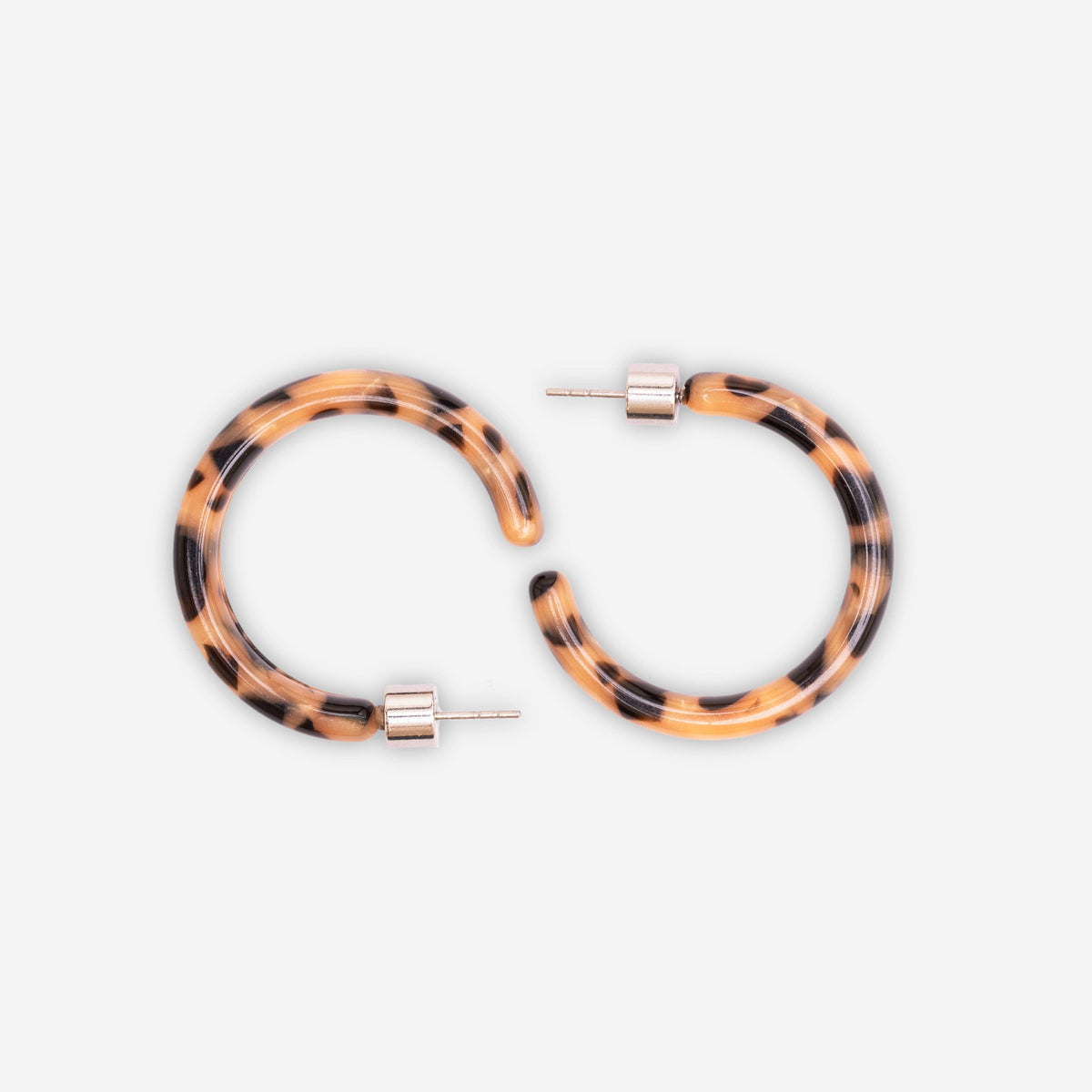 Sasstie Ohrringe - Loop Cookie