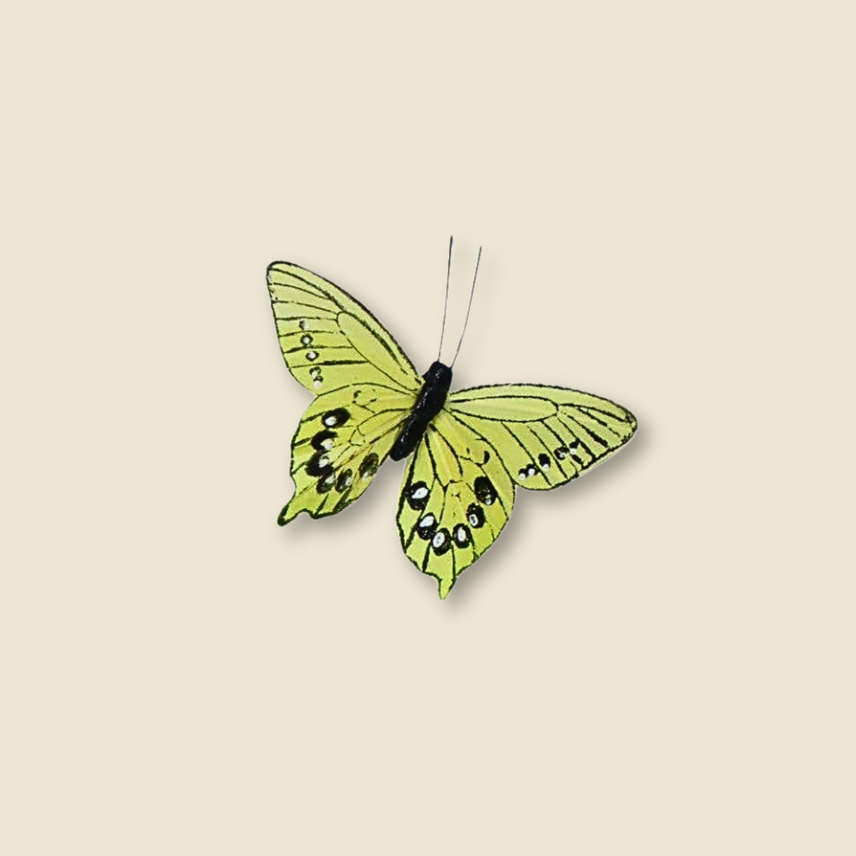 Bunter Deko-Schmetterling