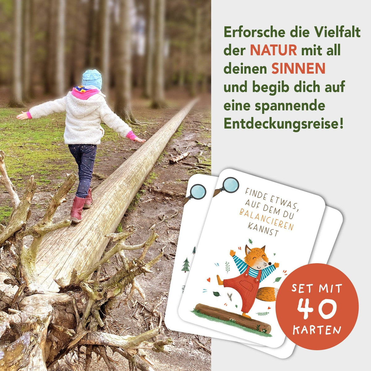 Rüsselfuchs - „Suchen & Finden“ - Wald-Schatzsuche