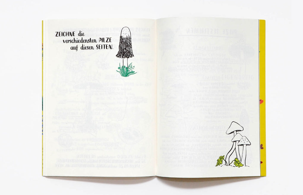 Laurence King „Mein Naturbuch“