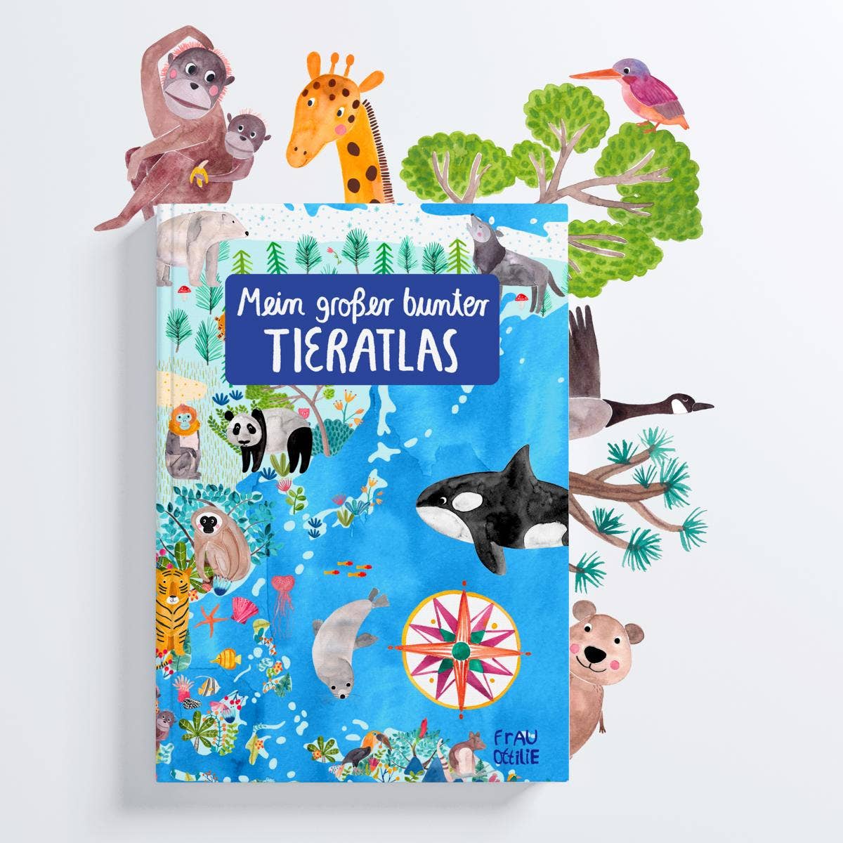 Atlas für Kinder *Mein großer bunter Tieratlas*